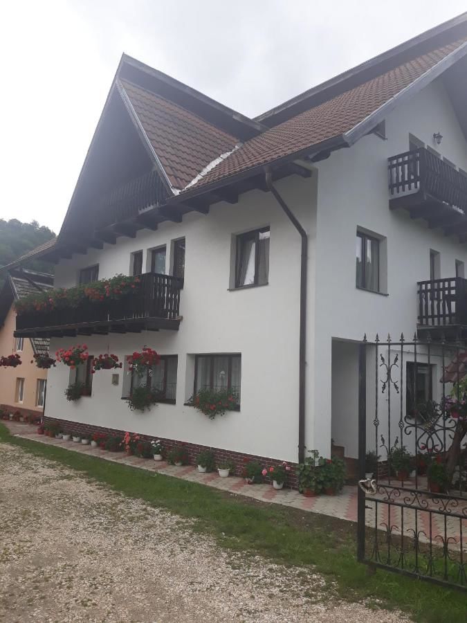 Гостевой дом Casa Flavius Бран-4