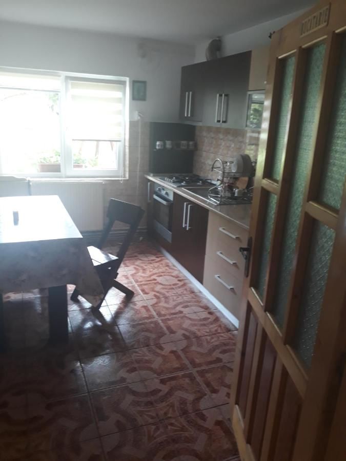 Гостевой дом Casa Flavius Бран-26