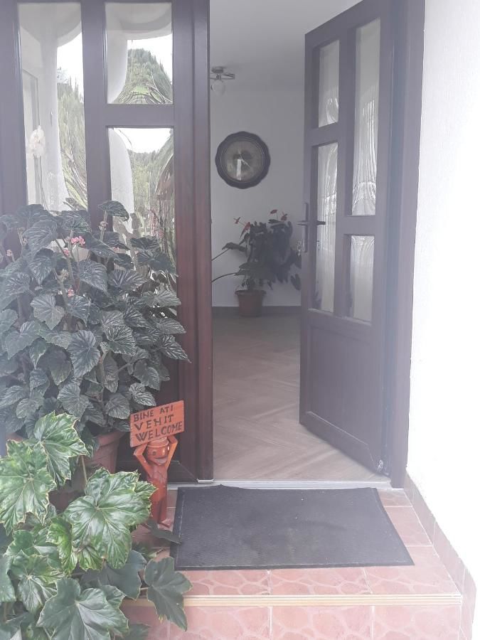 Гостевой дом Casa Flavius Бран-31
