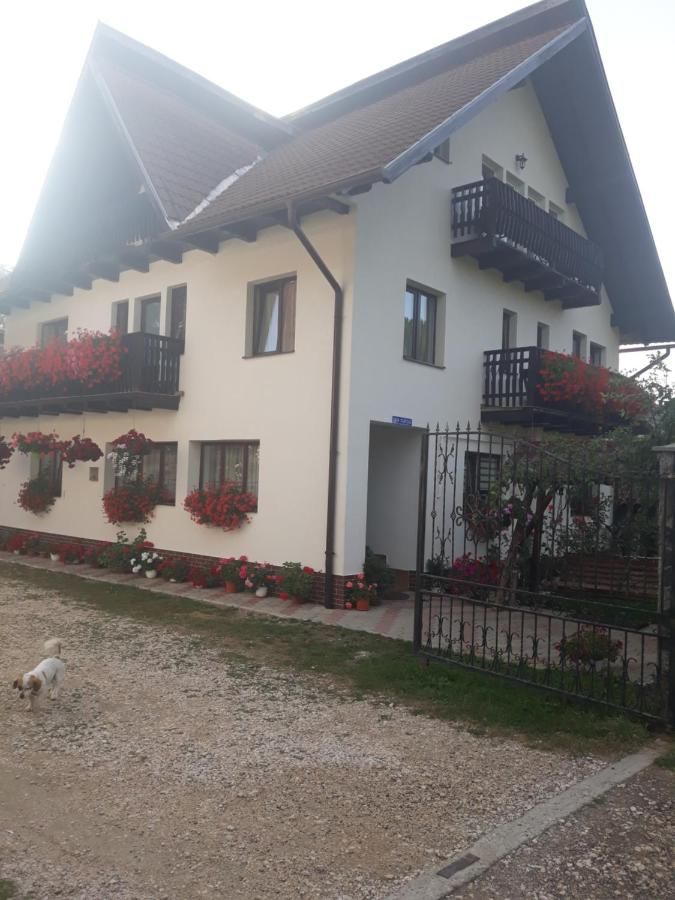 Гостевой дом Casa Flavius Бран-7